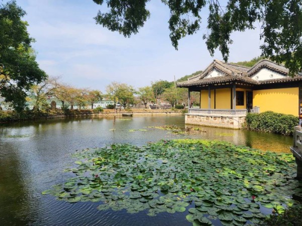 苏州评弹导游与现场表演全攻略：如何找到懂行的向导，沉浸式体验吴侬软语