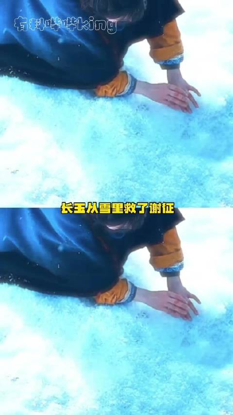 长玉雪中救谢征获姻缘，浅浅水中救齐旻陷孽缘