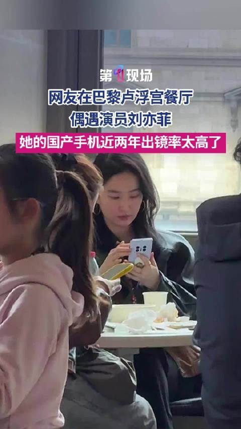 网友卢浮宫偶遇素颜刘亦菲