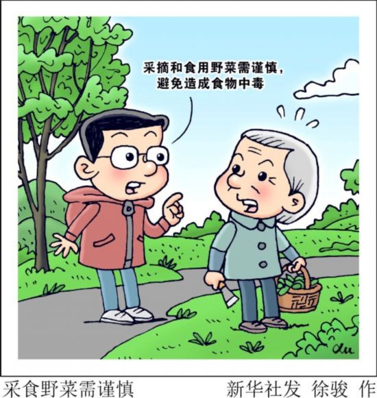 美味野菜有风险，怎样安全吃？指南来了！