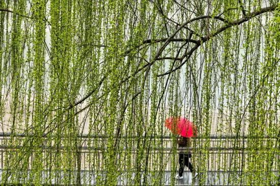 3月17日，市民在河南省济源市蟒河公园踏青游玩（无人机照片）。新华社发（苗秋闹摄）