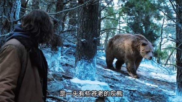 太好看了，近20年无法被超越的一部动作片，全程燃到炸裂！