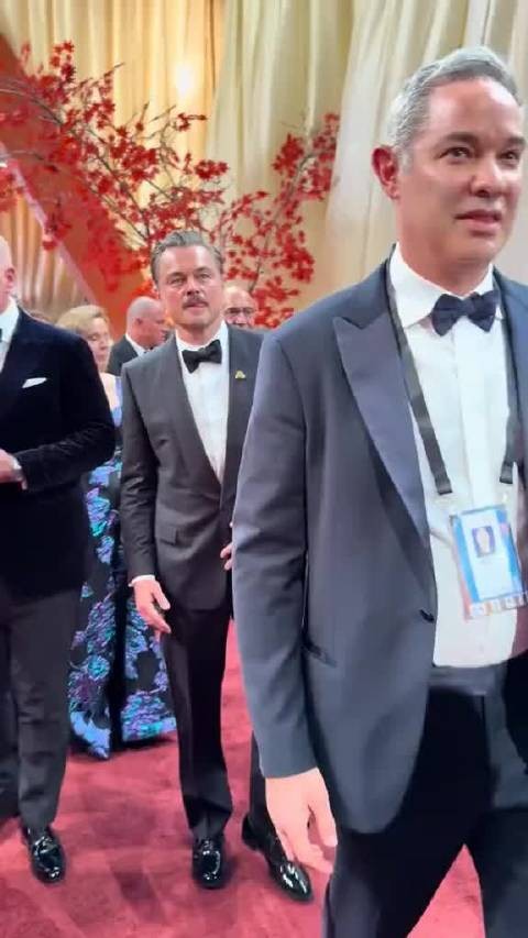 小李子这小胡子，莱昂纳多，奥斯卡