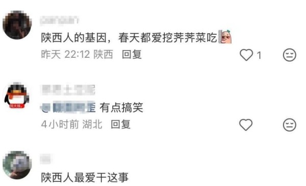 网友声称看见张艺谋独自在公园挖野菜，画面曝光，评论区笑不活了