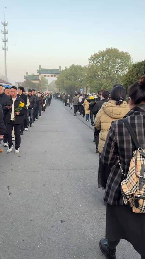 张雪峰老师逝世引众人悼念