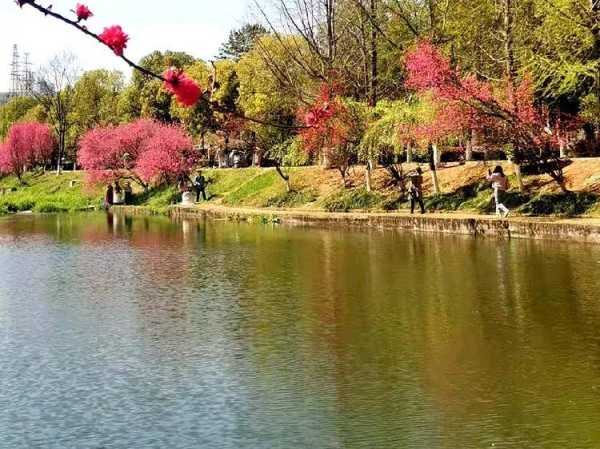 莺啼高唱声音美 燕剪晴空舞乐斜|七律 咏春(外三首)