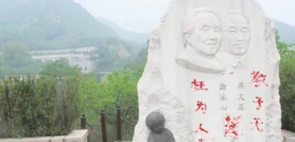 冰心死后，孙子为何在她墓碑上，写下枉为人表，教子无方8字