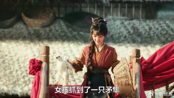 女孩抓了丈夫通信的矛隼,准备杀了补补身体