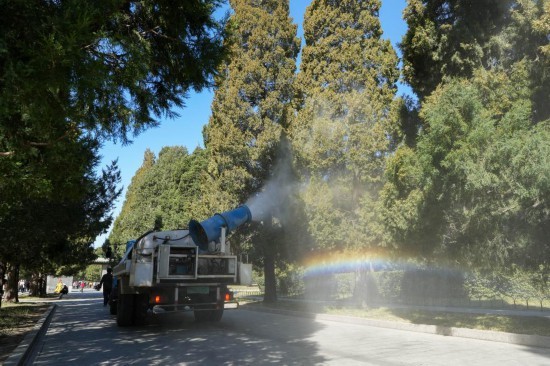 在北京天坛公园，工作人员驾驶雾炮车对飘散花粉的柏树进行喷淋。新华社记者 鞠焕宗 摄