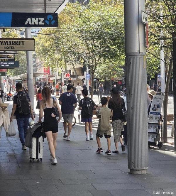 侯佩岑全家悉尼度假,一家四口幸福满溢,侯佩岑牵小儿子手好温馨