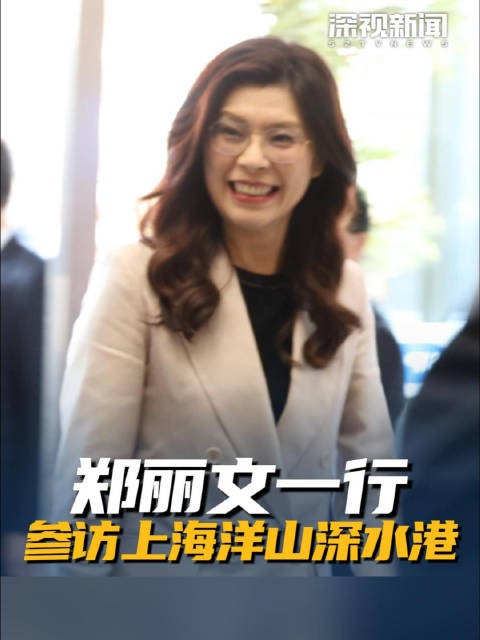 郑丽文一行参访上海洋山深水港