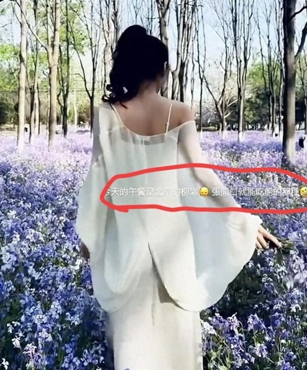 马筱梅更新动态,证实已经回京,称这个季节的柳絮可以吃到饱