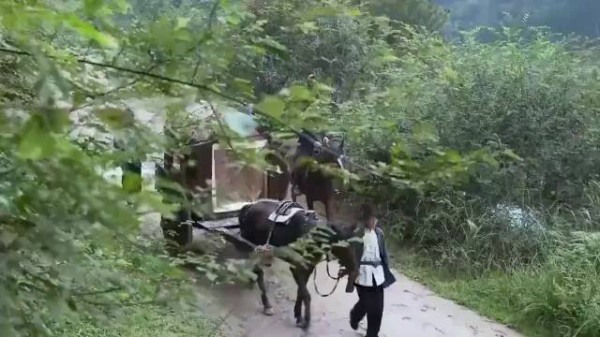 追梦谷：土匪嚣张拦截车队，谁知这回遇上高手，下秒全军覆没！