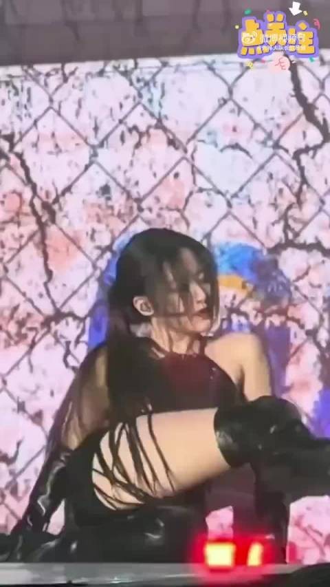 叶舒华的舞台也是很大胆啊 ！只能说羡慕韩国演唱会