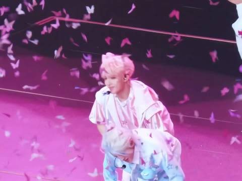 粉丝给朱志鑫苏新皓发红包，苏新皓演唱会直拍获赞