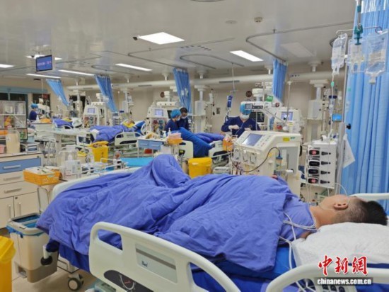 拒绝“贪鲜”侥幸 专家提醒春季谨防白毒伞中毒