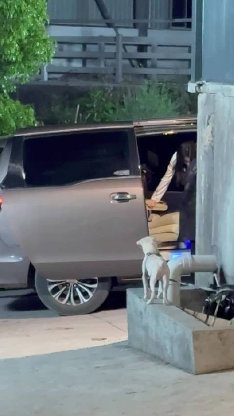 自律的演员白鹿 以前还穿过背背佳上班