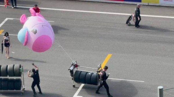 突然开始溜猪何意味