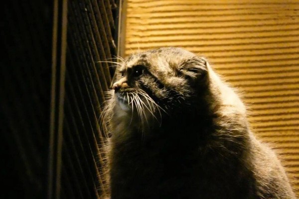 如果我是天道，我会忍不住这么设定：