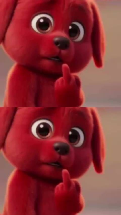 张婉婷曾任高云翔经纪人董璇眼神引热议