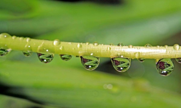 徒弟迟迟不肯陪自己出游，韩愈专门写诗逗他，竟成为一首千古名作