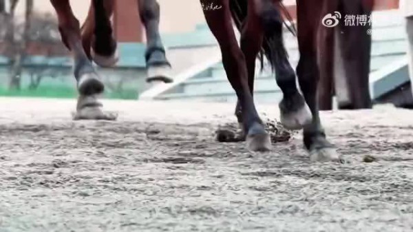 窦骁vlog重现燕洵少年感，高尔夫尽显春日惬意