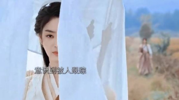 《佳偶天成》男二修无情道却恋剑修女二