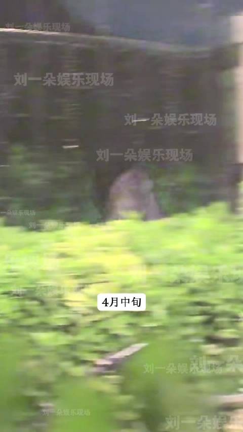 没拉窗帘被拍到了