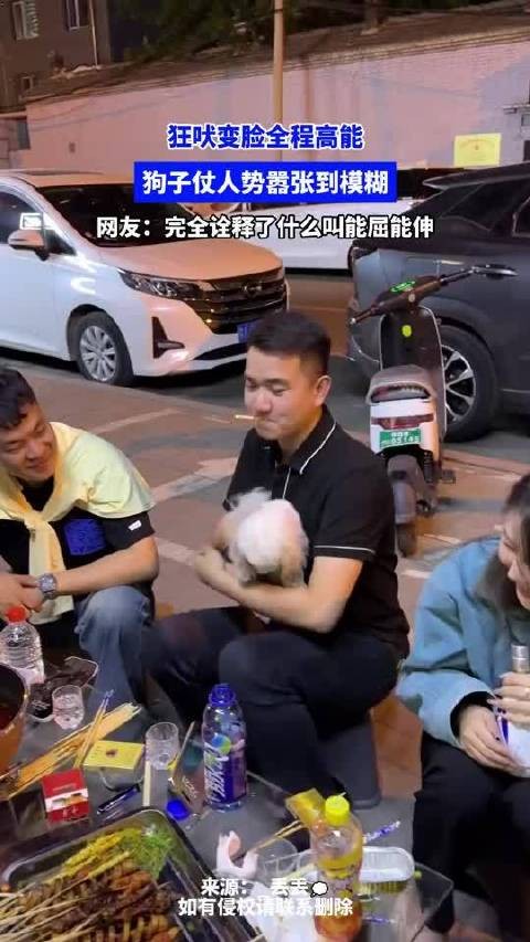 狂吠变脸全程高能，狗子仗人势嚣张到模糊，狗界变脸大师