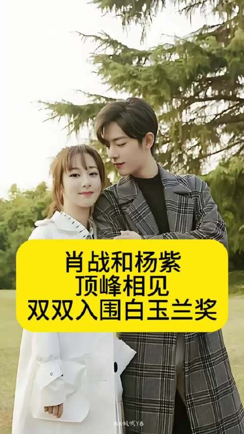 肖战和杨紫顶峰相见,双双入围白玉兰奖