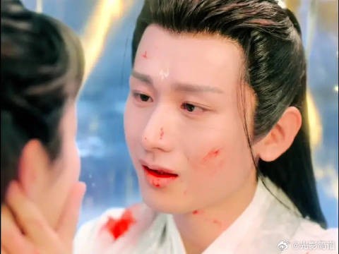 颜淡以菡萏之力护应渊，剜心之痛引共鸣