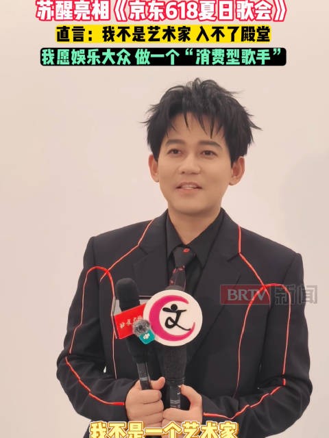 苏醒：我不是艺术家，请叫我消费型歌手