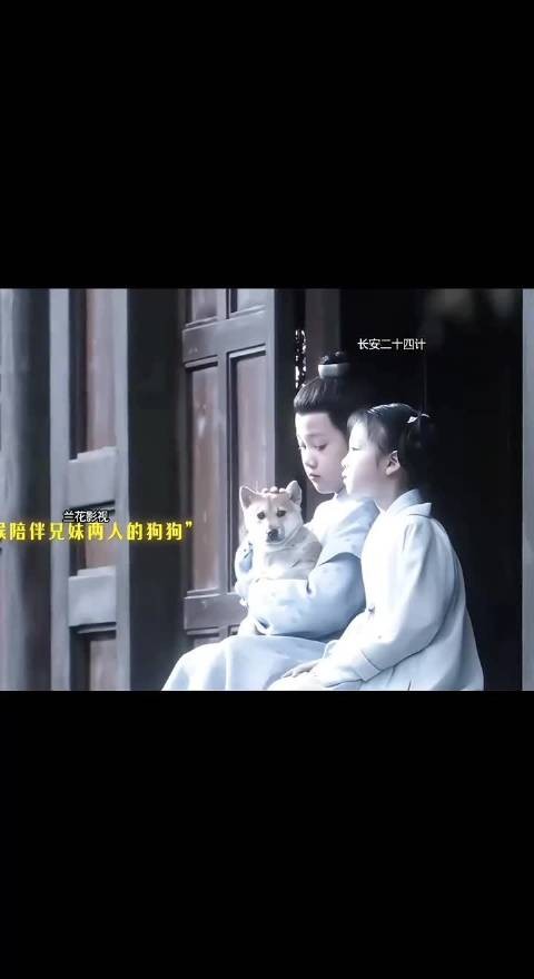 最刀名场面！忠犬等主15年，看完泪崩！