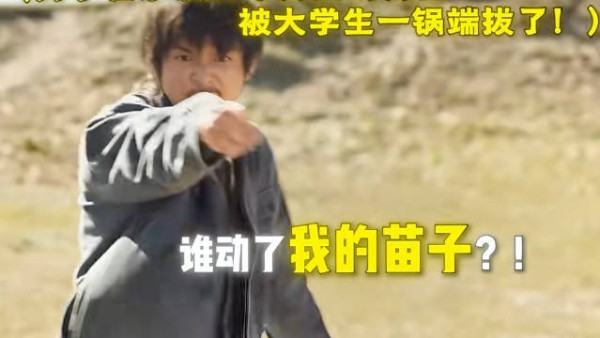 女大学生擅自拔男人沙漠种了三年的树，竟还说男人是疯子！