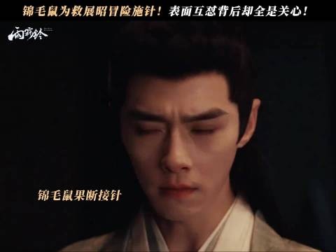 吵不散的友情!锦毛鼠冒险施针,只为换展昭平安醒来!
