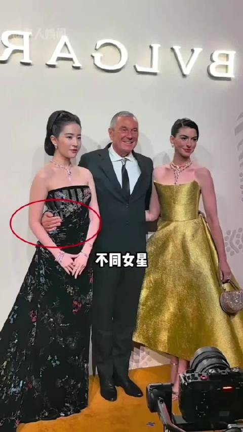 女星被金主搂腰名场面:白鹿强装营业,陈都灵白眼外露,刘亦菲尽显格局