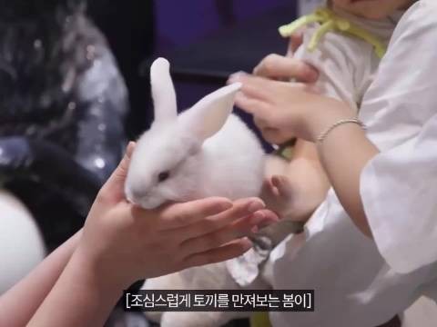 小盆友摸兔子 自己也要悄悄rua一把