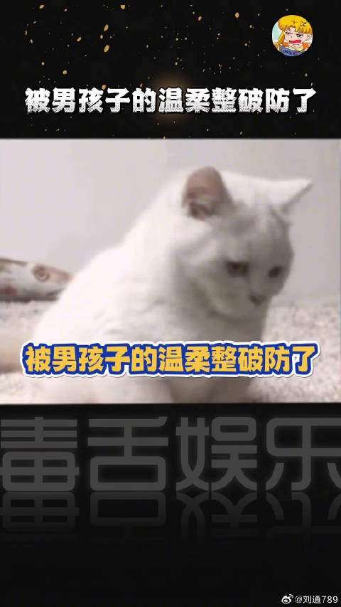 被男孩子的话温柔到了，愿每个女孩都能被温柔以待浦熠星