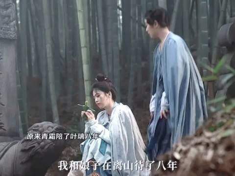 原来青霜陪了叶璃八年!说明她患病八年啊!不敢想她怎么熬过来的!