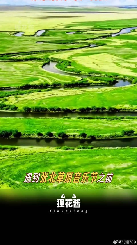 夏天就去要去草原上和喜欢的歌手们一起蹦一蹦啊!音乐节 微博VC计划