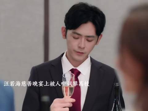 汪若海慈善晚宴遭嘲笑被赶下车