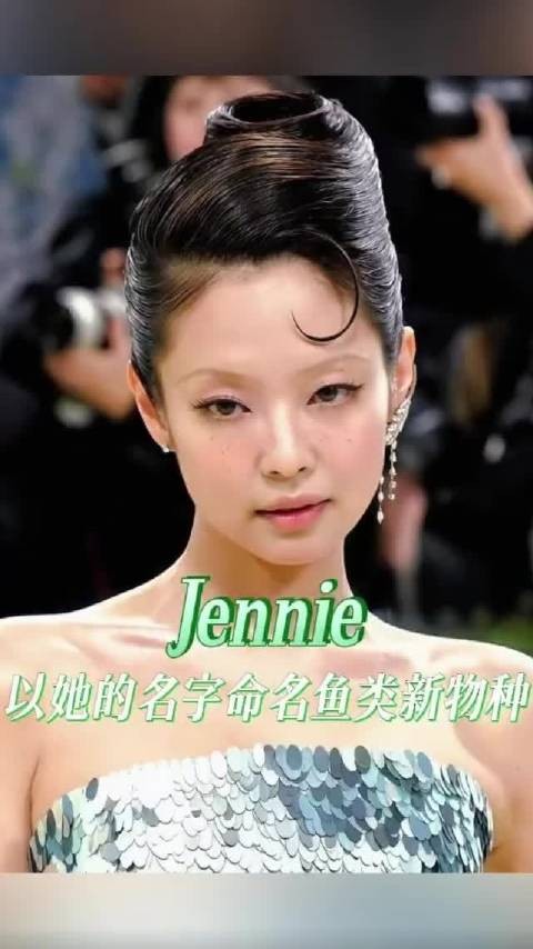 被工作室认证过的中饭浪漫,从此海里真的有了一条叫做jennie的小鱼