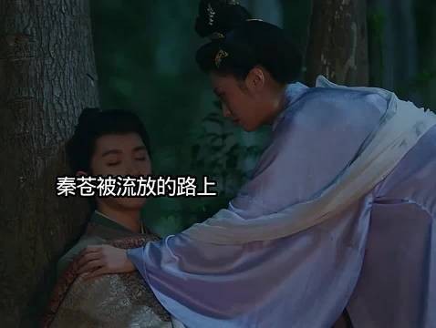 秦苍被发放去了黔川，林听澜陪同而去 电视剧莫离