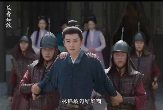 林锦岐被冤入狱，前妻新老公封死生路