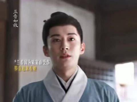 兰香如故男女主各忙各的,拒绝悬浮偶像剧套路