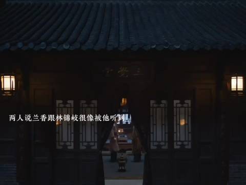 兰香如故 下属说林锦岐和兰香很像被林锦岐听到