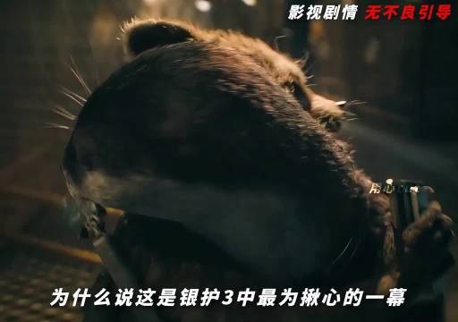 电影推荐丨漫威系列 究竟要经历怎样的痛苦才能哭的这么撕心裂肺 银河护卫队3