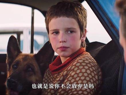 帕尔玛在终幕恍然惊觉:朝夕相伴的主人竟如此疏离!看忠犬帕尔玛前后对比