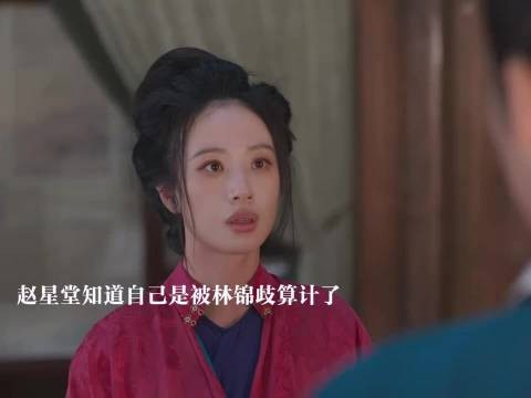 钱少泽被买通算计了赵星堂,林锦歧成功跟赵星堂和离 兰香如故
