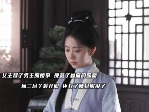 女主助男主缔结良缘,由从二品丫鬟跃升为手握银钱的体面人!…